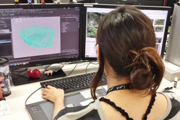 Environment Artist